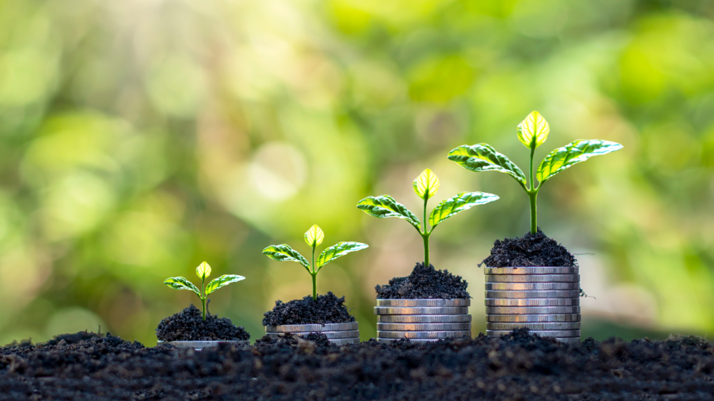 stacks of coins with plants growing out the top